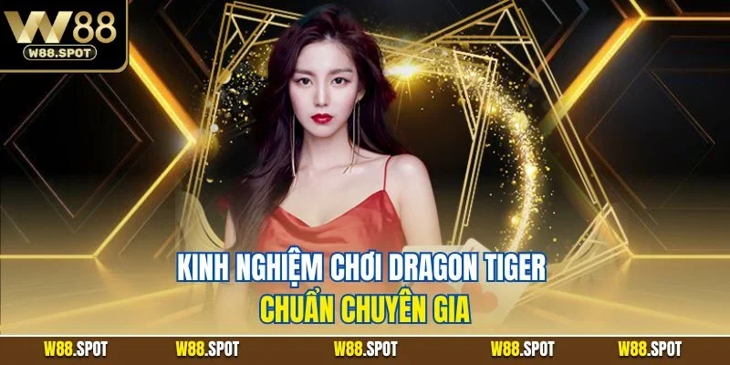 Kinh nghiệm chơi Dragon Tiger chuẩn chuyên gia